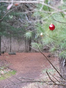 sometimes it's coming across something completely unexpected